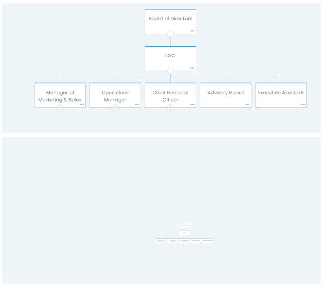 Zooming on Organization Chart